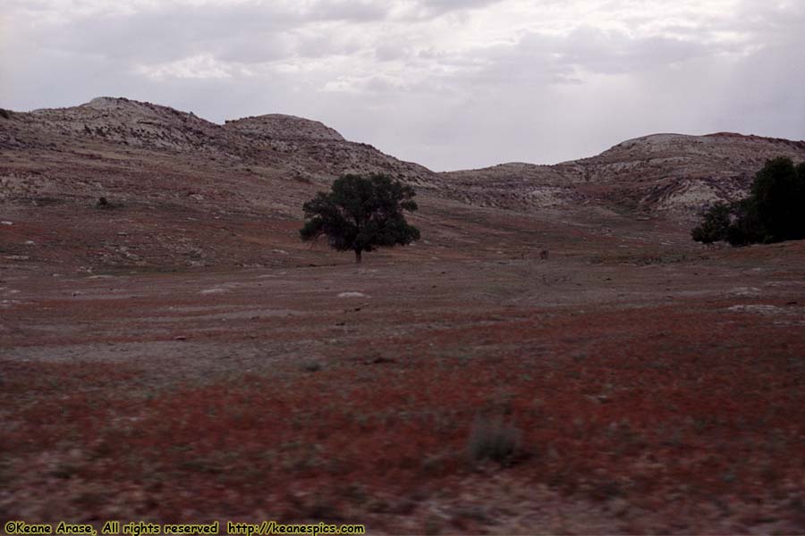 South Unit Loop Road