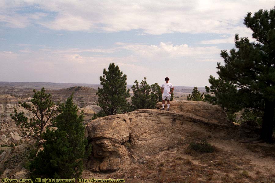 Pine-On_rocks Vista