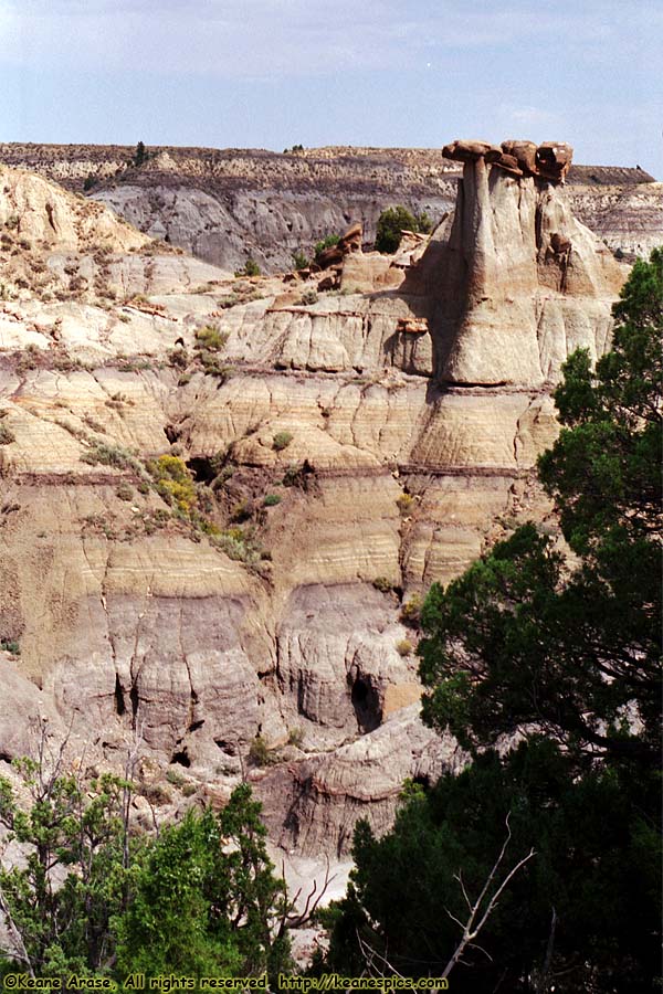 Cains Coulee Overlook