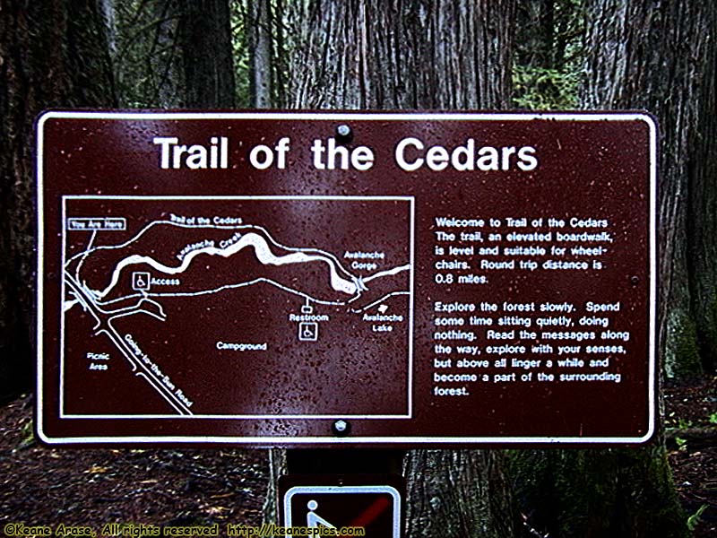 Trail of the Cedars