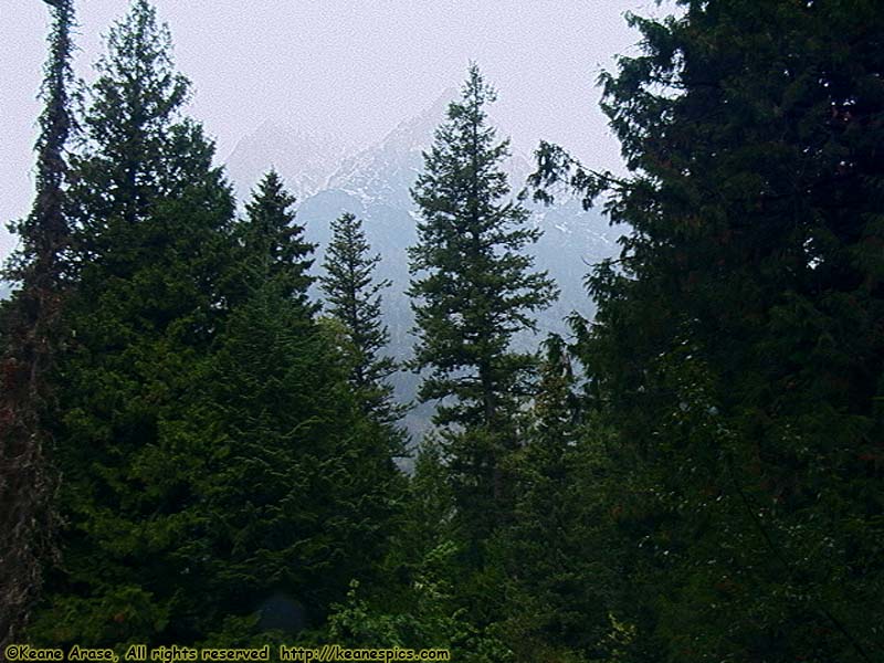 Going to the Sun Road