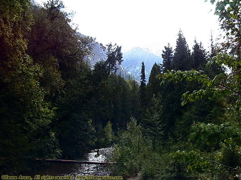 Going to the Sun Road