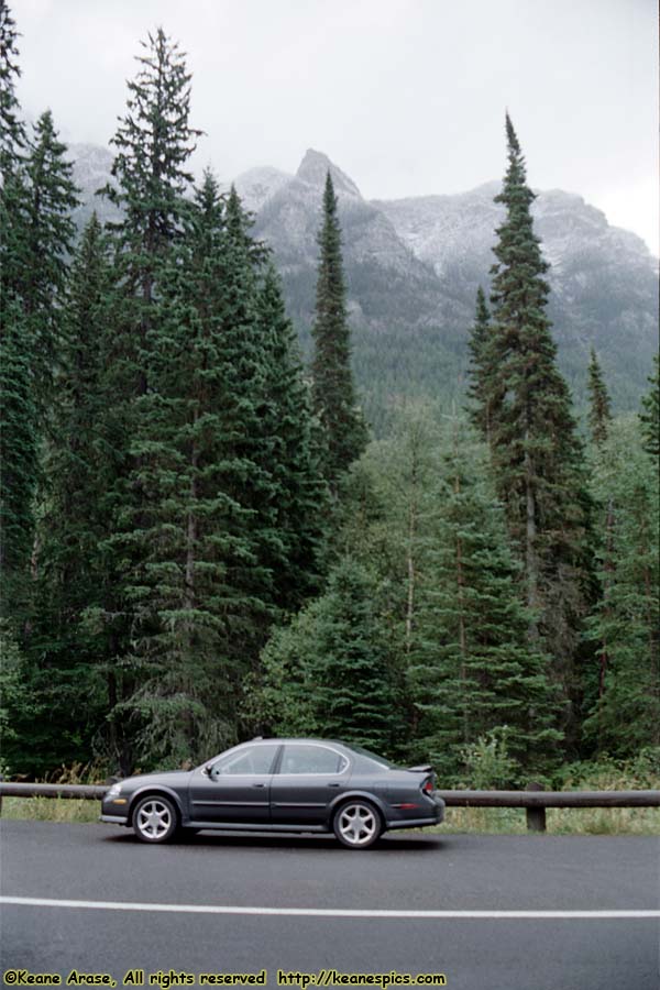 Going to the Sun Road