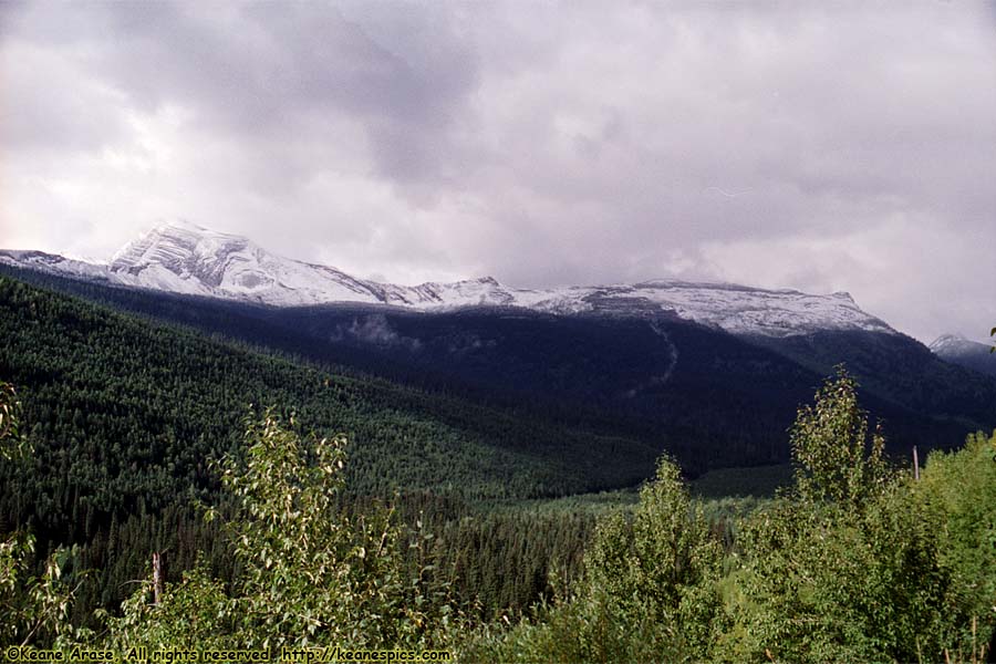 Going to the Sun Road