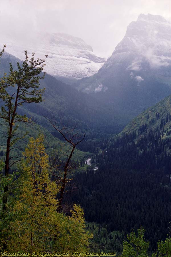 Going to the Sun Road