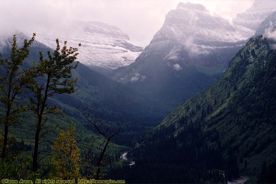 Going to the Sun Road