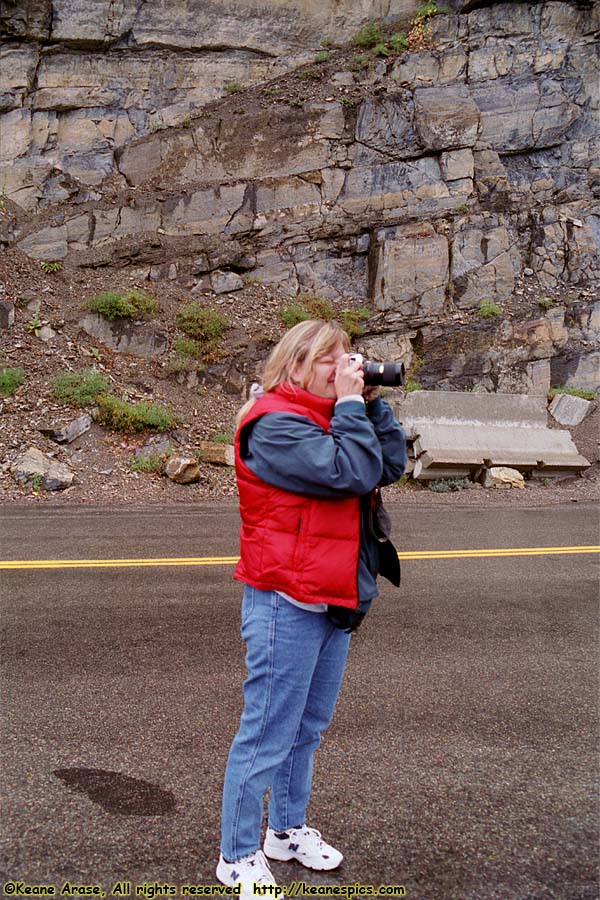 Going to the Sun Road