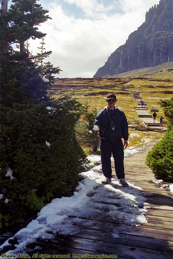 Going to the Sun Road