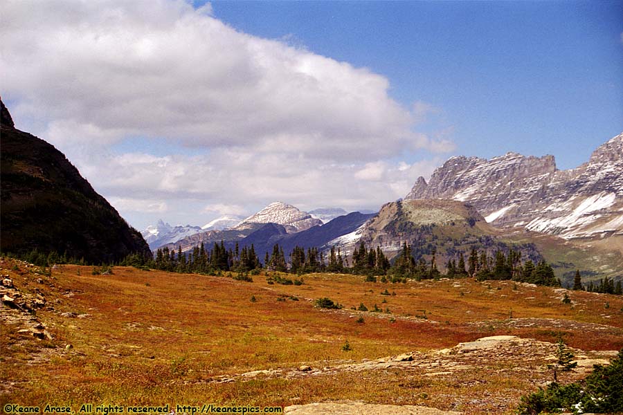 Going to the Sun Road