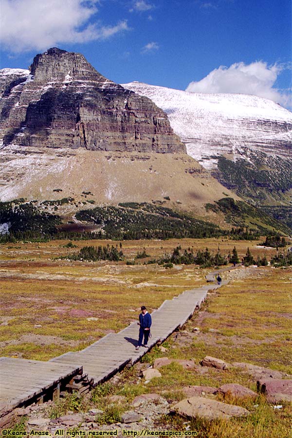 Going to the Sun Road