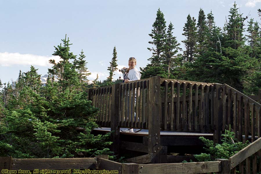 Going to the Sun Road