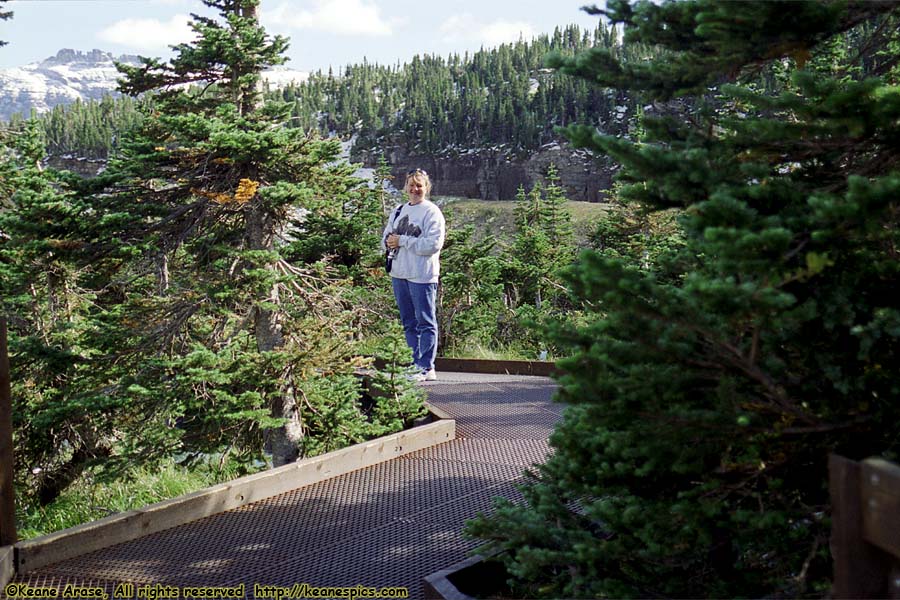 Going to the Sun Road