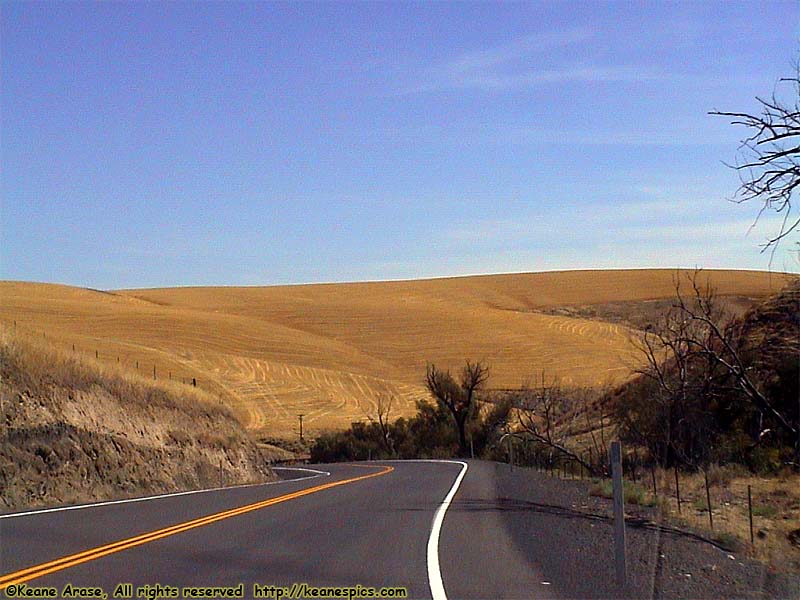 On the road to Walla Walla, WA