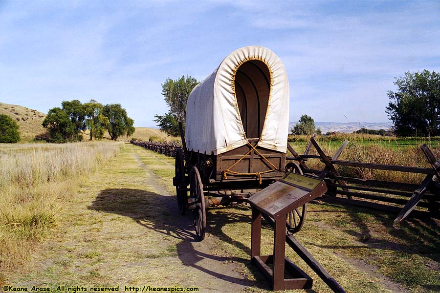 1840's Oregon Trail Wagon