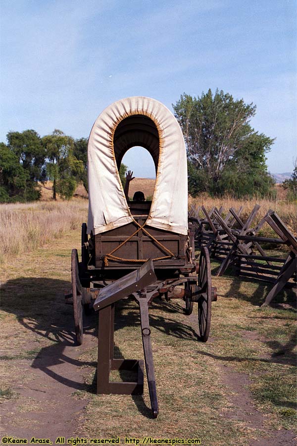 1840's Oregon Trail Wagon