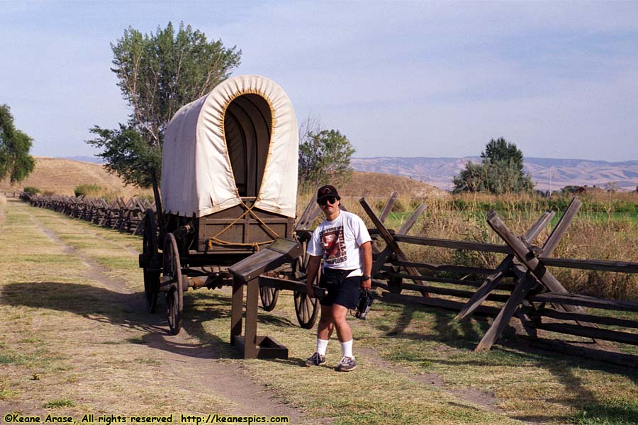 1840's Oregon Trail Wagon