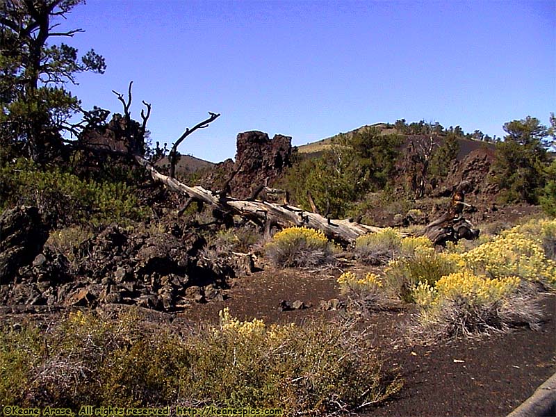 North Crater Flow Trail