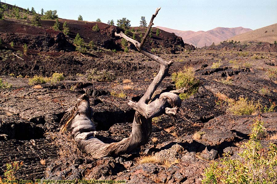 North Crater Flow Trail