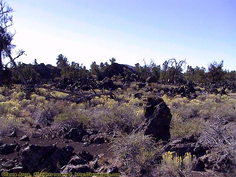 North Crater Flow Trail