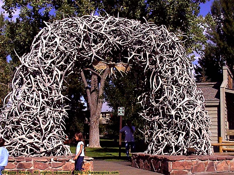 Antler Arch