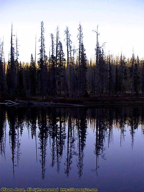 Lewis River