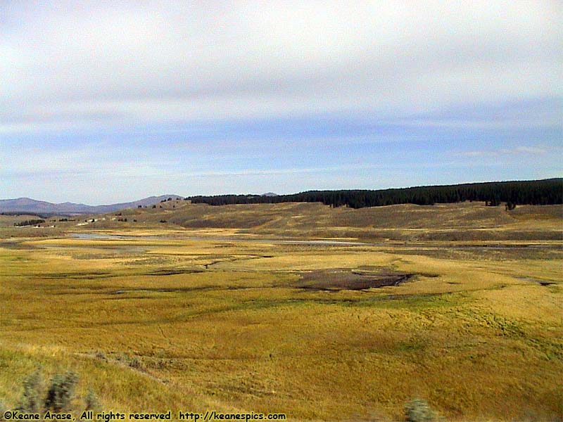 Along the Grand Loop Road