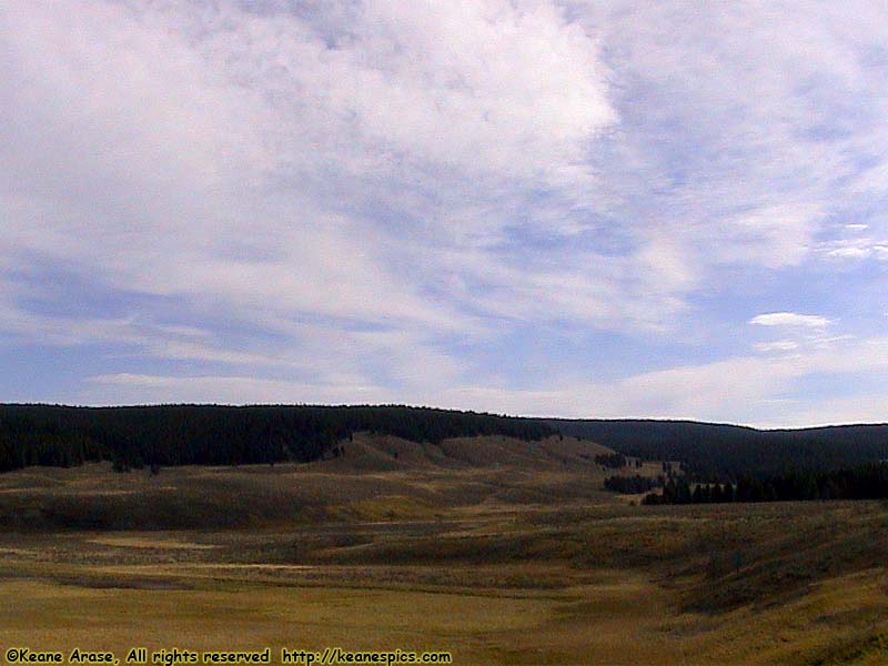 Along the Grand Loop Road