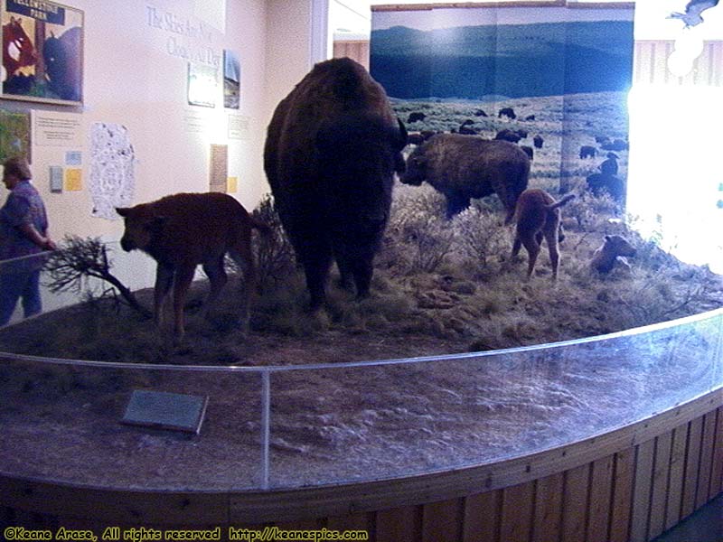 Canyon Visitors Center