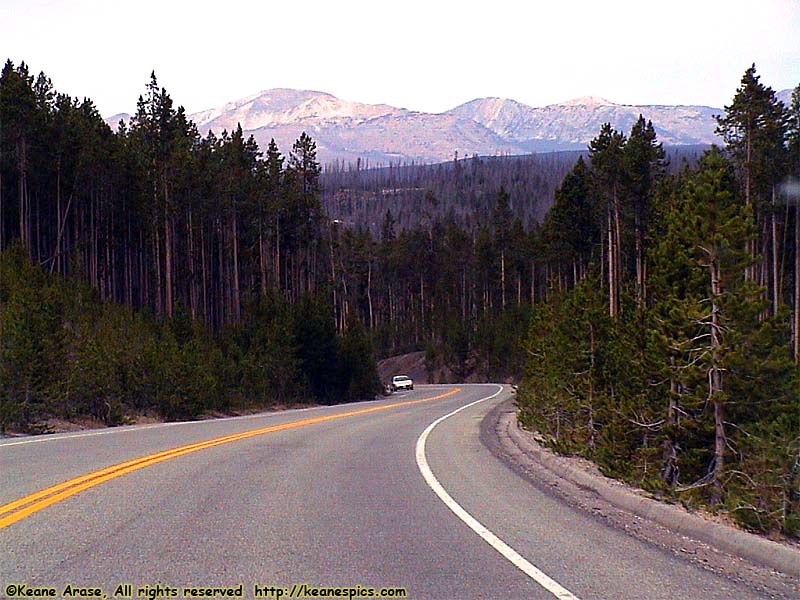 Canyon to Mammoth Hot Springs