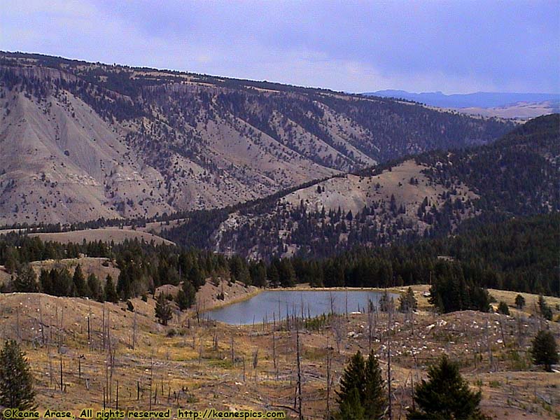 Canyon to Mammoth Hot Springs