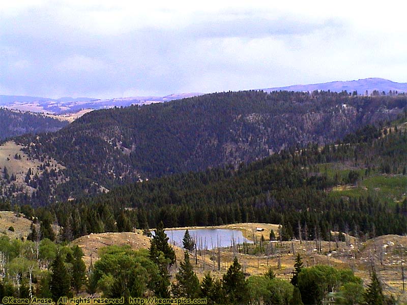 Canyon to Mammoth Hot Springs