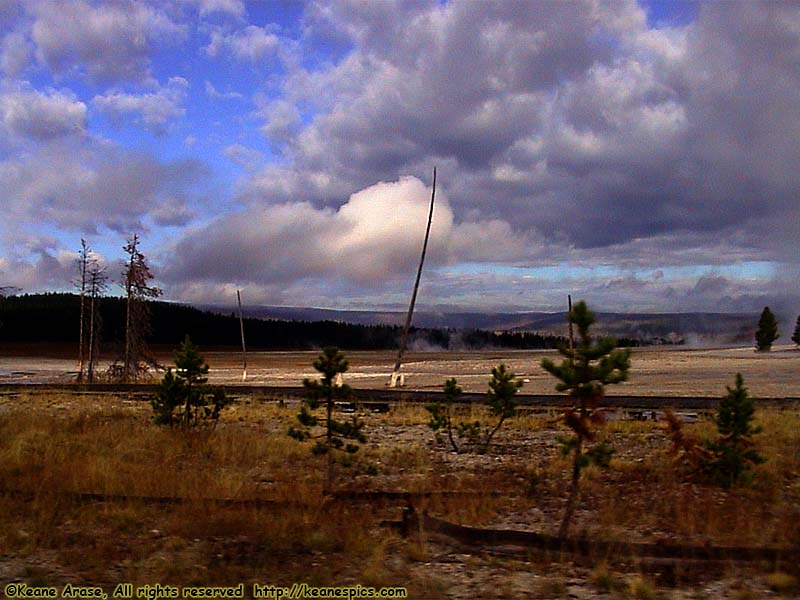 Along the Grand Loop Road