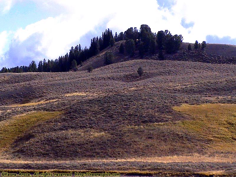 Grand Loop Road