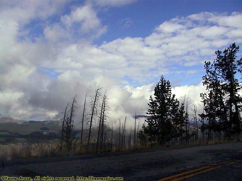 Grand Loop Road