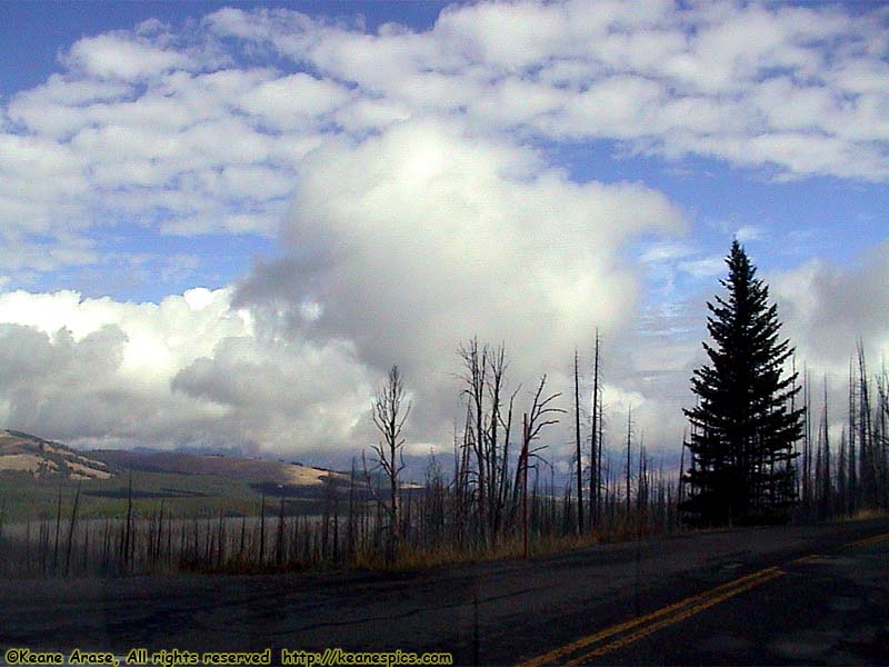 Grand Loop Road