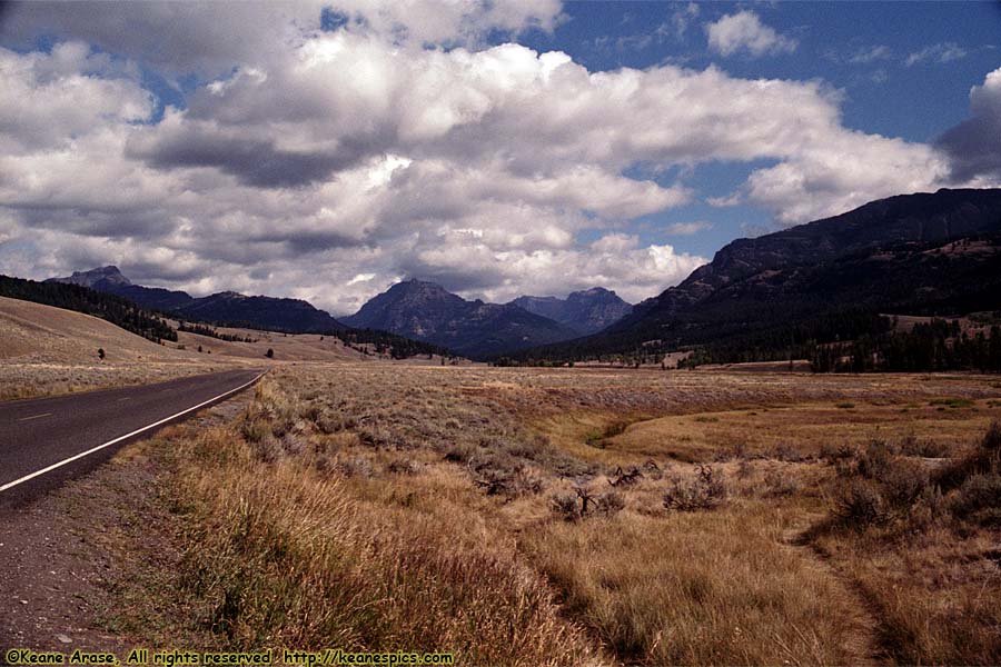 NE Entrance Road