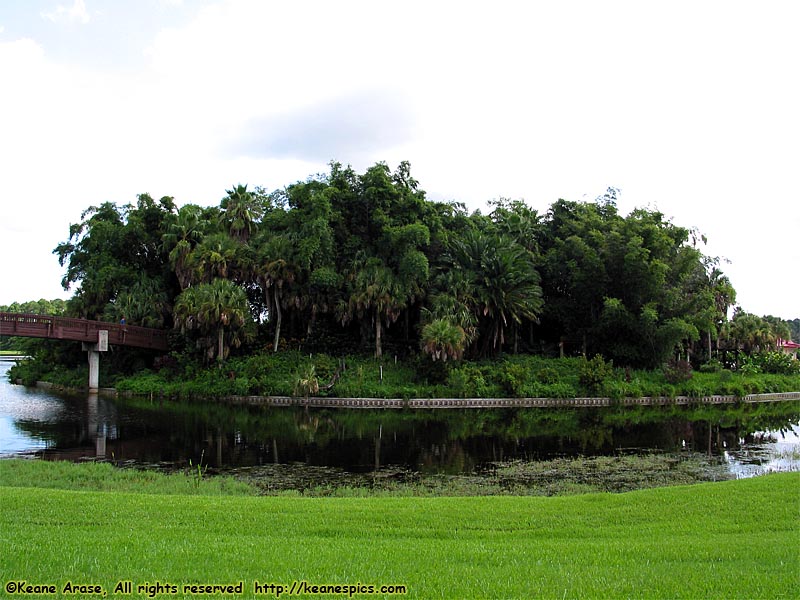 Parrot Cay