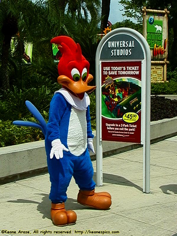 Woody Woodpecker's Kidzone