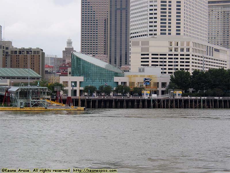 On the Steamboat Natchez