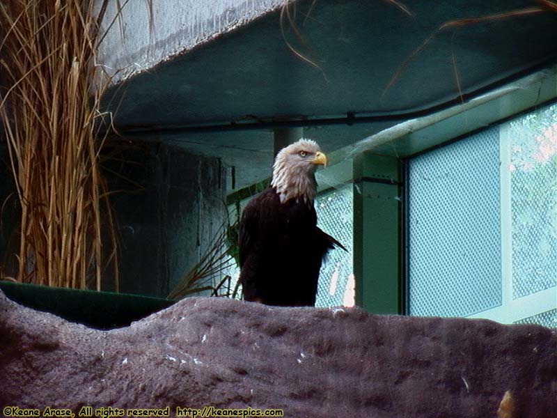 Aquarium of the Americas