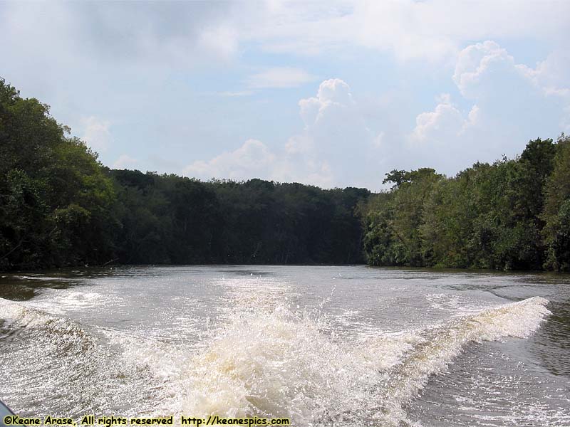 Cajun Encounters Swamp Tour