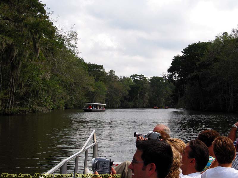 Cajun Encounters Swamp Tour