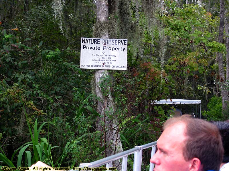 Cajun Encounters Swamp Tour