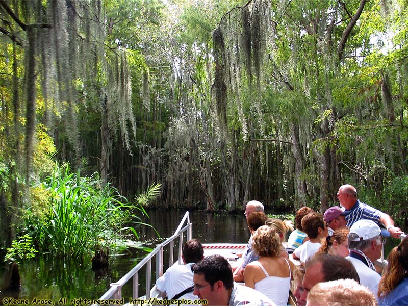 Cajun Encounters Swamp Tour