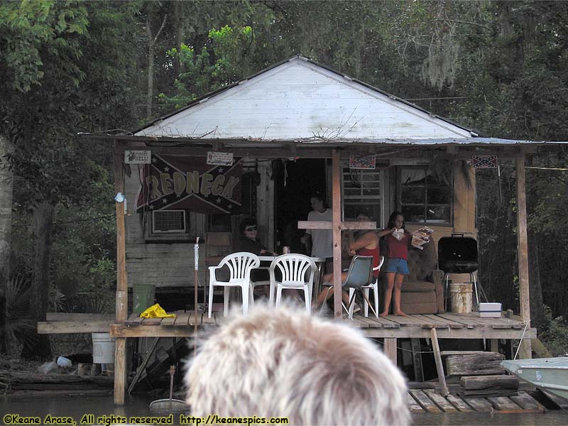 Cajun Encounters Swamp Tour