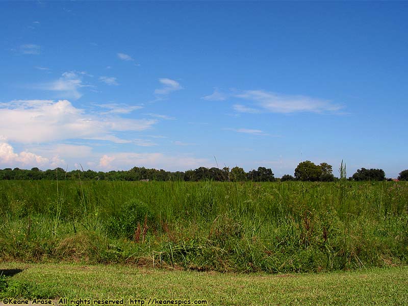 Chalmette Battlefield