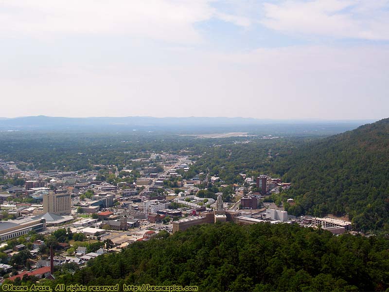 Tower View