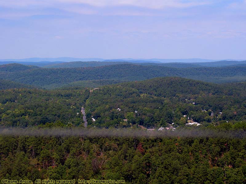 Tower View