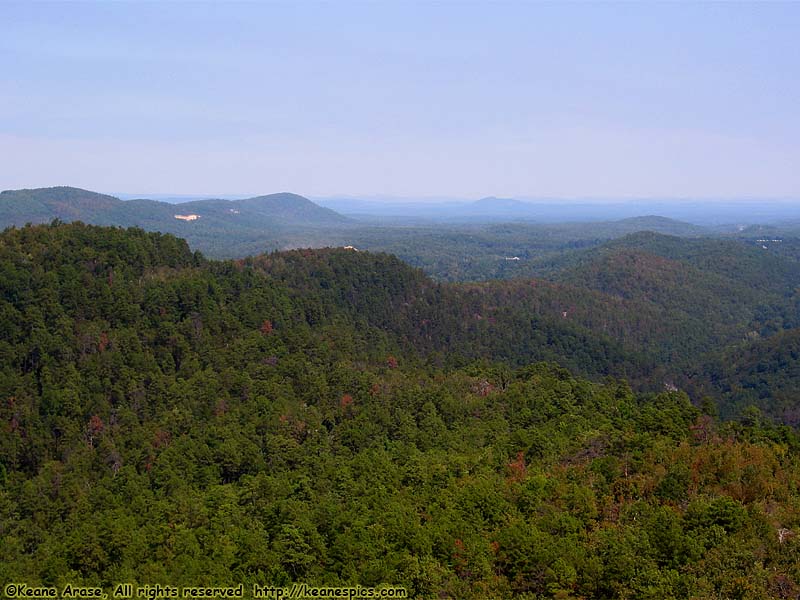 Tower View