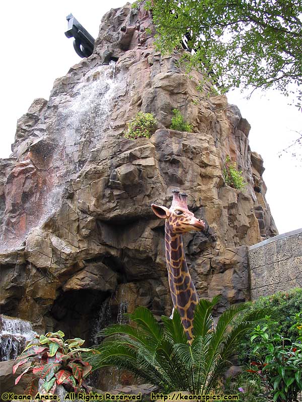 Rainforest Cafe